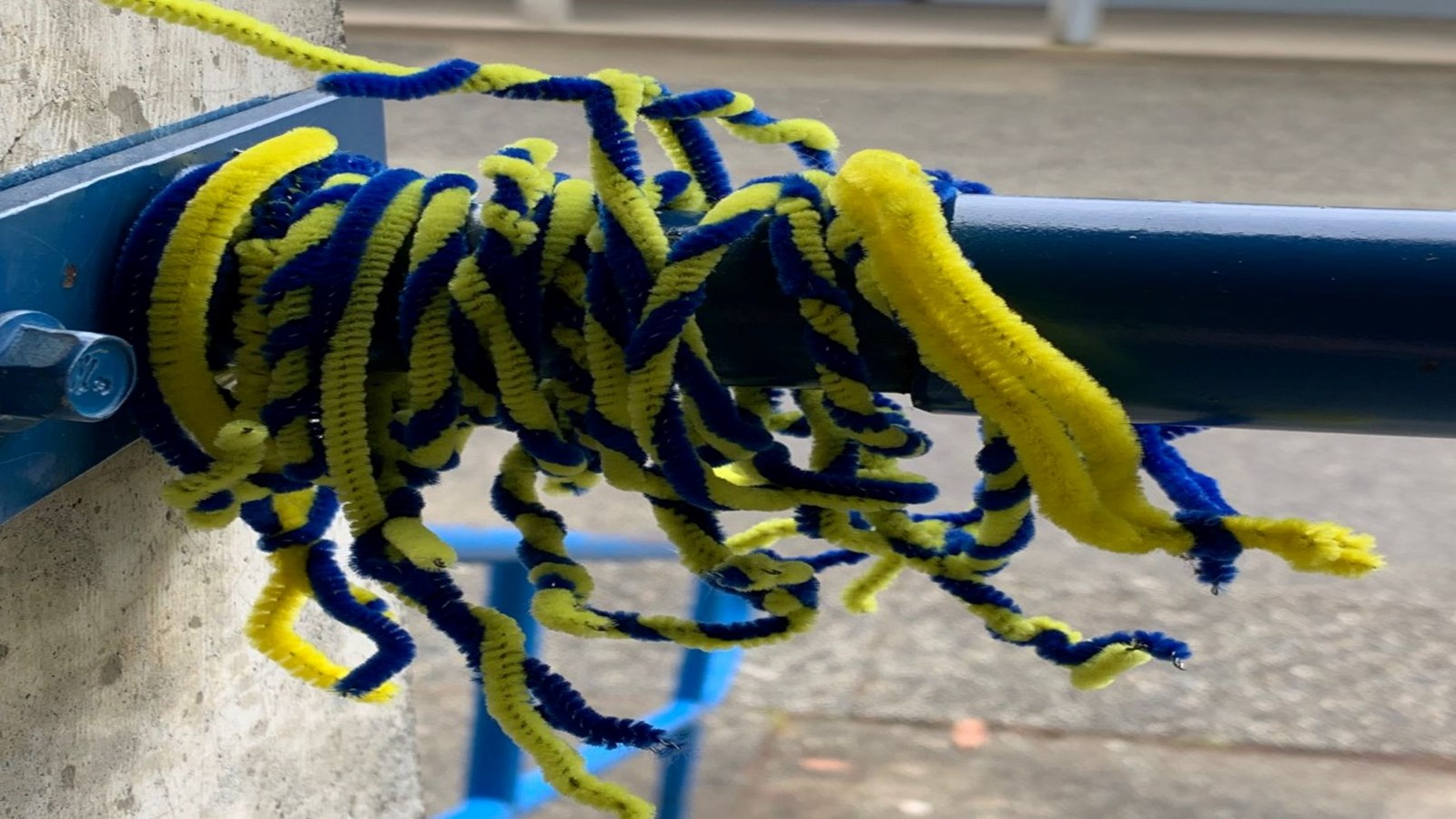 Grade 4/5 students in Mr. Mott's class walking in solidarity with Ukrainian refugees