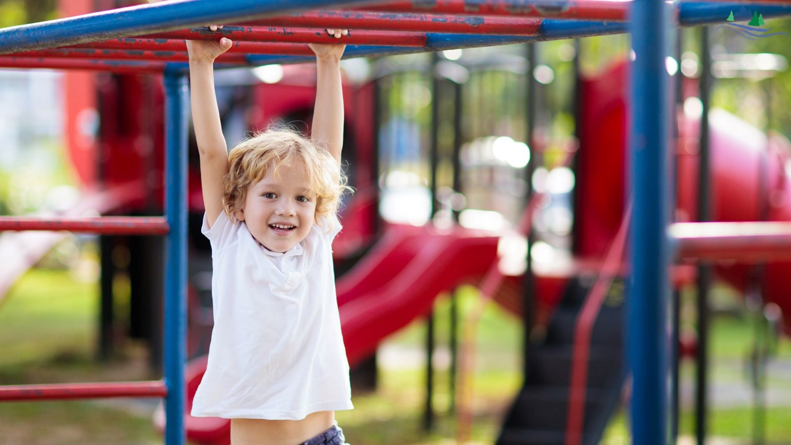 Optional Accident Insurance