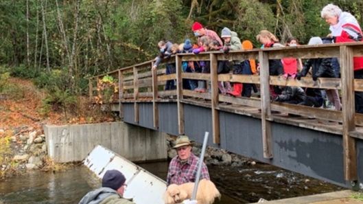 Salmon in the Classroom