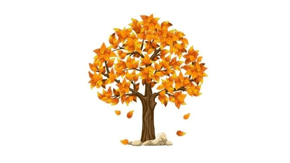 Fall