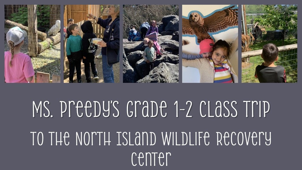 North Island Wildlife Recovery Center